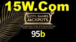 95b.com